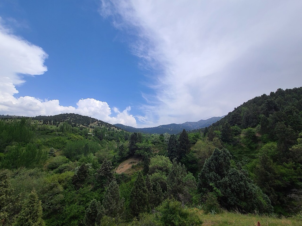 Green wooded hills under a blue sky in the mountains of Uzbekistan in spring