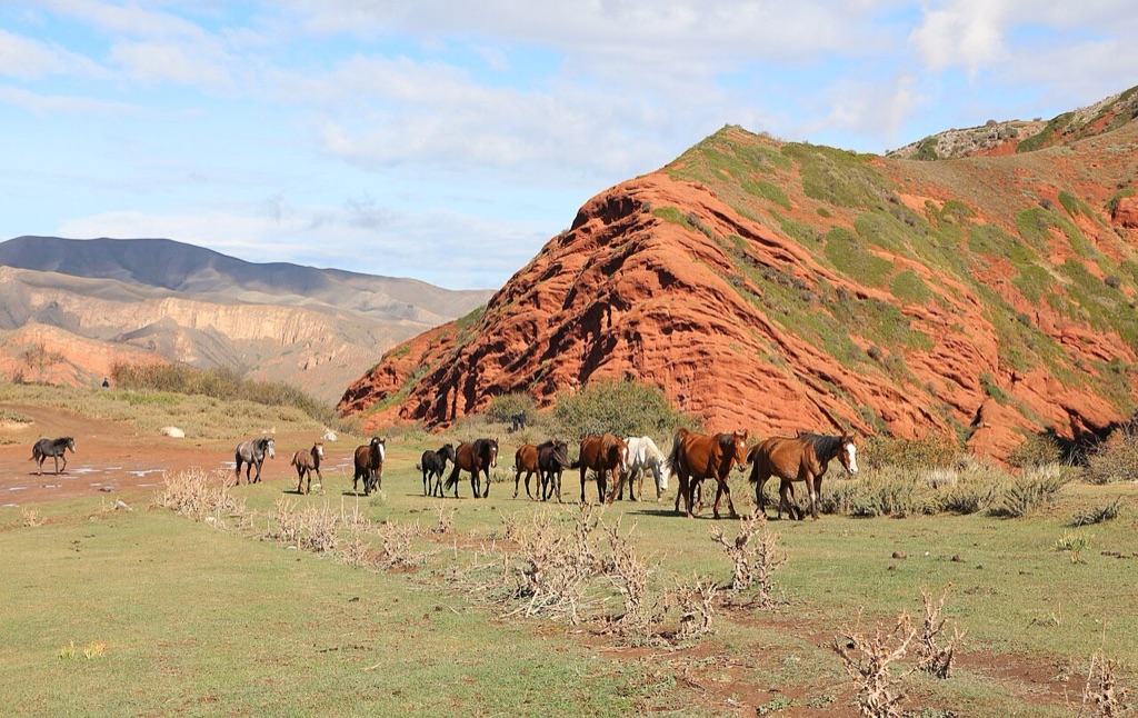 Horses grazing below the red sandstone rocks of Jeti-Oguz near Karakol, Kyrgyzstan